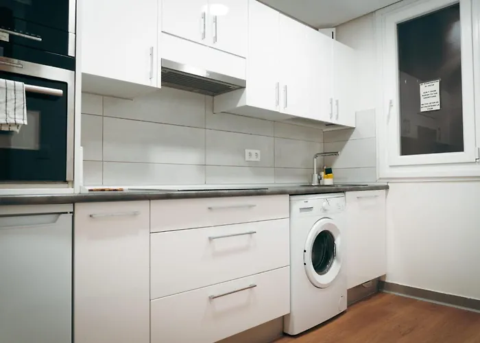 Gros Zurriola Wifi Terrace Parking 20e Night *